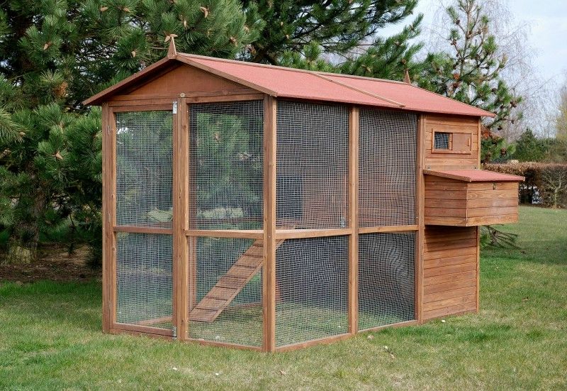 Quel Materiel Choisir Pour Construire Un Poulailler Pergola